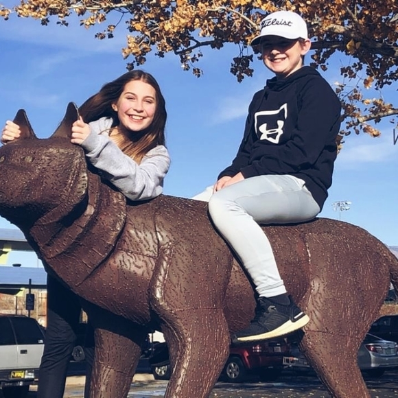 Meet your Posher, Maisey - Picture 4 of 6